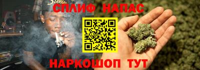 индика Волжский