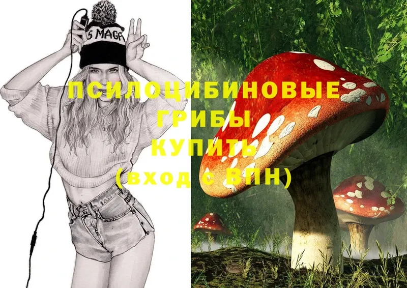 Псилоцибиновые грибы MAGIC MUSHROOMS  купить  сайты  Лесосибирск 