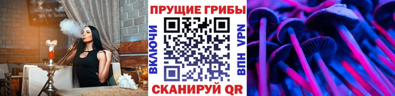 наркота  Лесосибирск  Галлюциногенные грибы GOLDEN TEACHER 