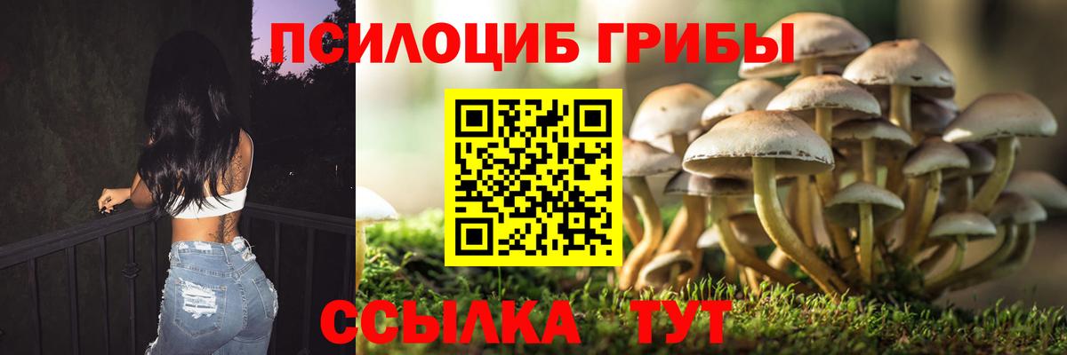 Галлюциногенные грибы ЛСД Лесосибирск
